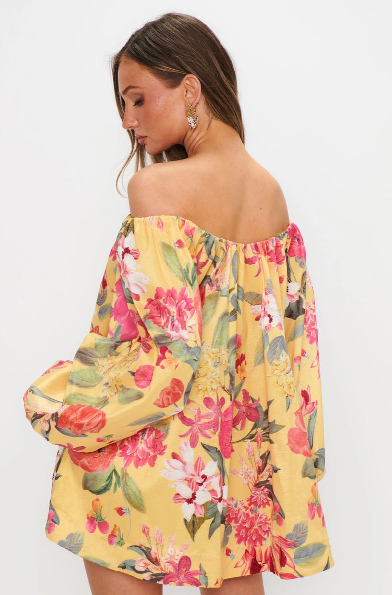 show me your mumu: brenna mini dress-mimosa floral