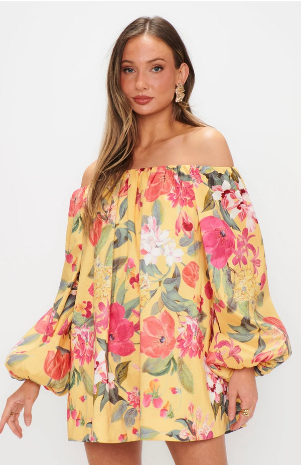 show me your mumu: brenna mini dress-mimosa floral