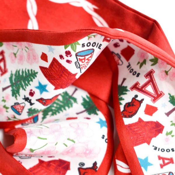 saturday silks: arkansas razorbacks skinny scarf