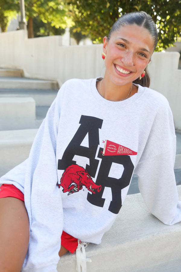 charlie southern: ar pennant vault sweatshirt-grey
