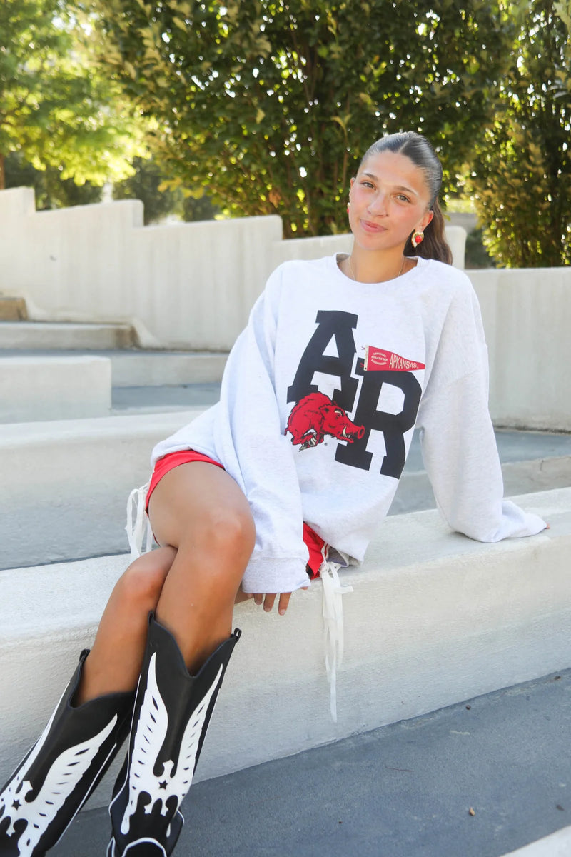 charlie southern: ar pennant vault sweatshirt-grey
